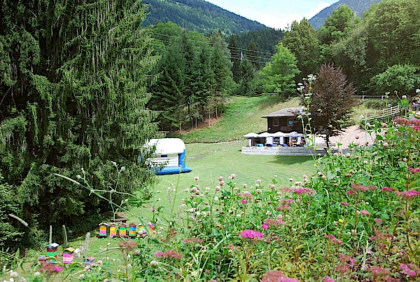 Ferienhaus Pflaum - Natur Idylle